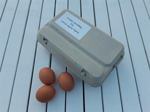 Etiketter til æggebakker, design og print din egen etiket, vita. 10 ark med 10 etiketter hver